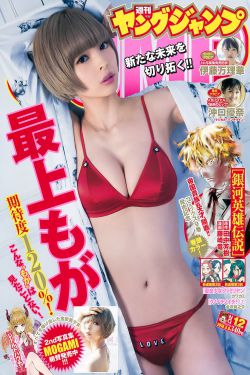 火山挚恋
